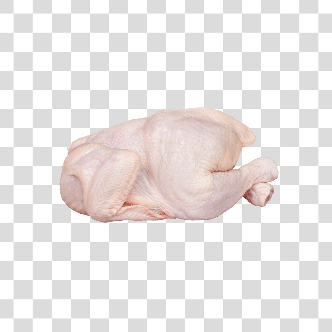 Frango Cru Png Baixar Imagens Em Png