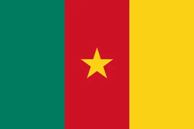 Bandeira de Camarões PNG PNG fundo transparente