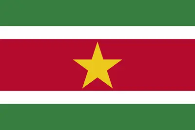 Bandeira do Suriname PNG fundo transparente - Suriname Flag transparent background PNG