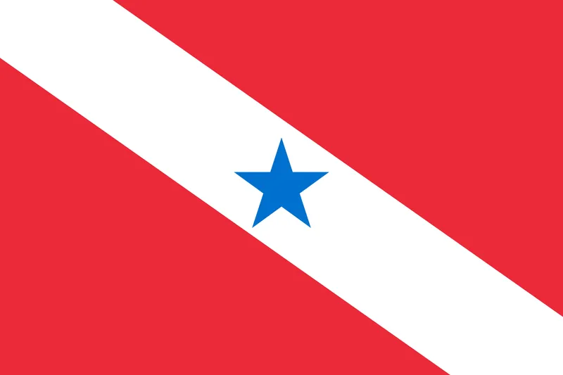 Bandeira do Pará PNG fundo transparente - Flag of Pará transparent background PNG