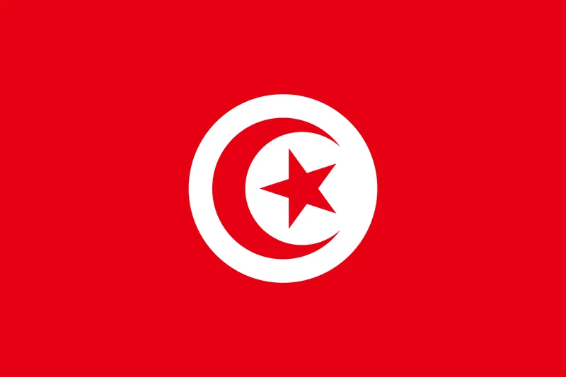 Bandeira da Tunísia PNG fundo transparente - Flag of Tunisia transparent background PNG