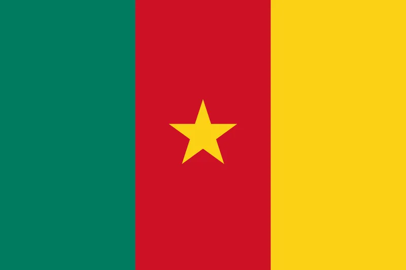 Bandeira de Camarões PNG PNG fundo transparente