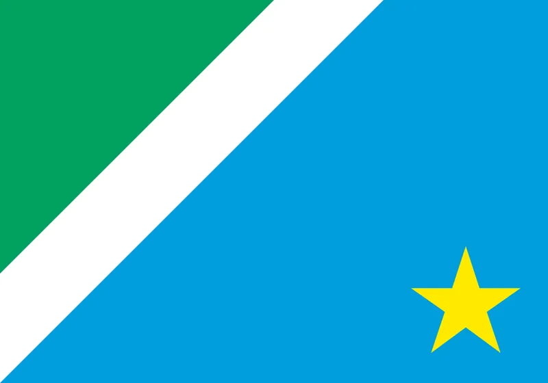 Bandeira de Mato Grosso do Sul PNG fundo transparente - Mato Grosso do Sul Flag transparent background PNG