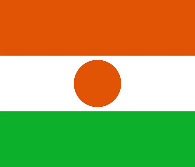 Bandeira do Níger PNG fundo transparente - Niger Flag transparent background PNG