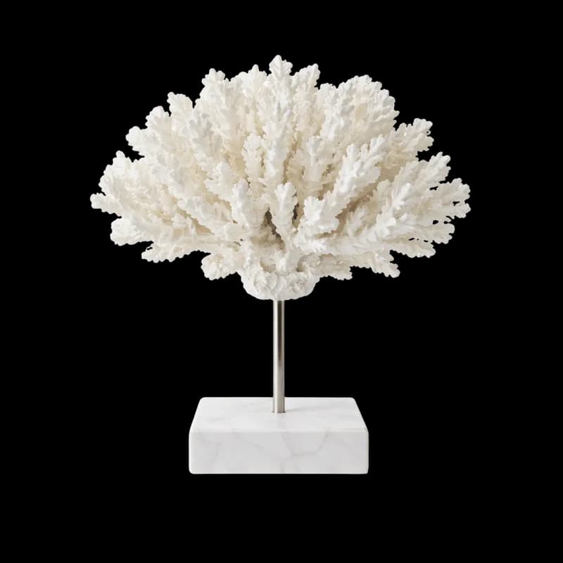 Escultura Decorativa de Coral Branco em Base de Mármore PNG fundo transparente - Escultura Decorative Coral White Base M