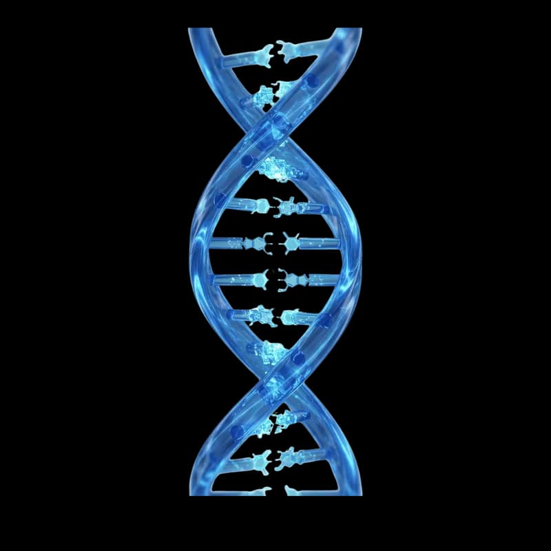 Estrutura de DNA Azul Brilhante PNG fundo transparente - Structure Dna Blue Shiny transparent background PNG