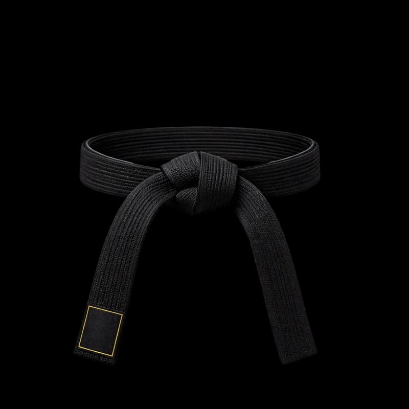 Faixa preta amarrada para artes marciais PNG fundo transparente - Faixa Black Amarrada Artes Marciais transparent backgr