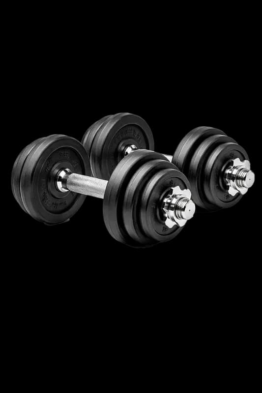 Halteres Ajustáveis para Treino de Força PNG fundo transparente - Dumbbells Ajustáveis Workout Strength transparent back