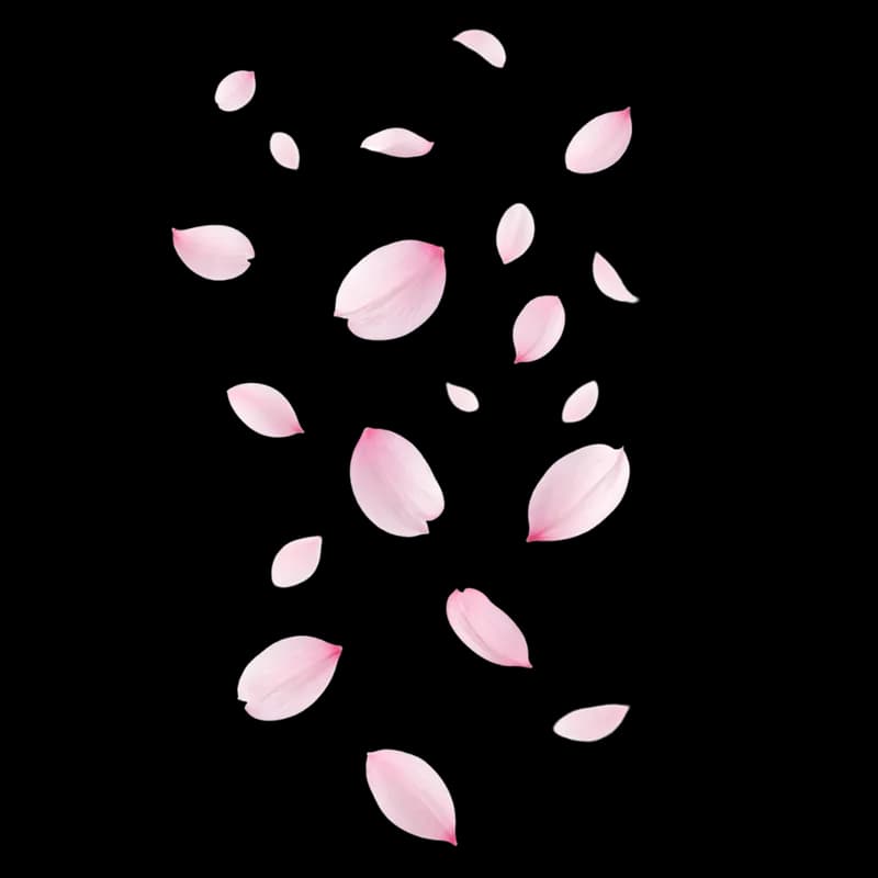 Pétalas de Cerejeira Caindo em Cenário Abstrato PNG fundo transparente