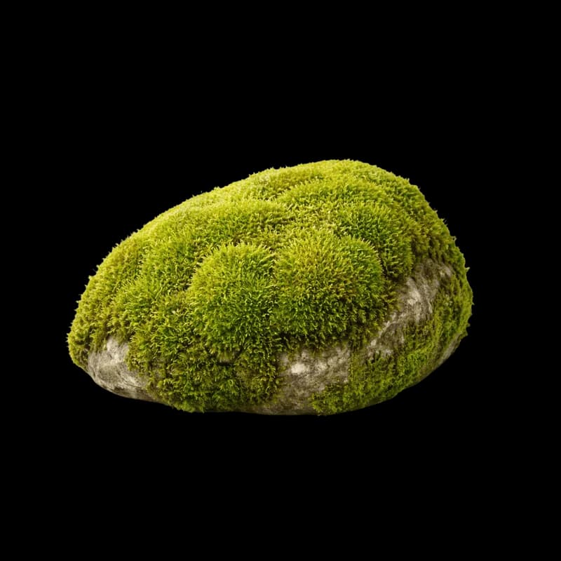 Rocha Coberta de Musgo Verde Vibrante PNG fundo transparente - Rocha Coberta Moss Green Vibrant transparent background P