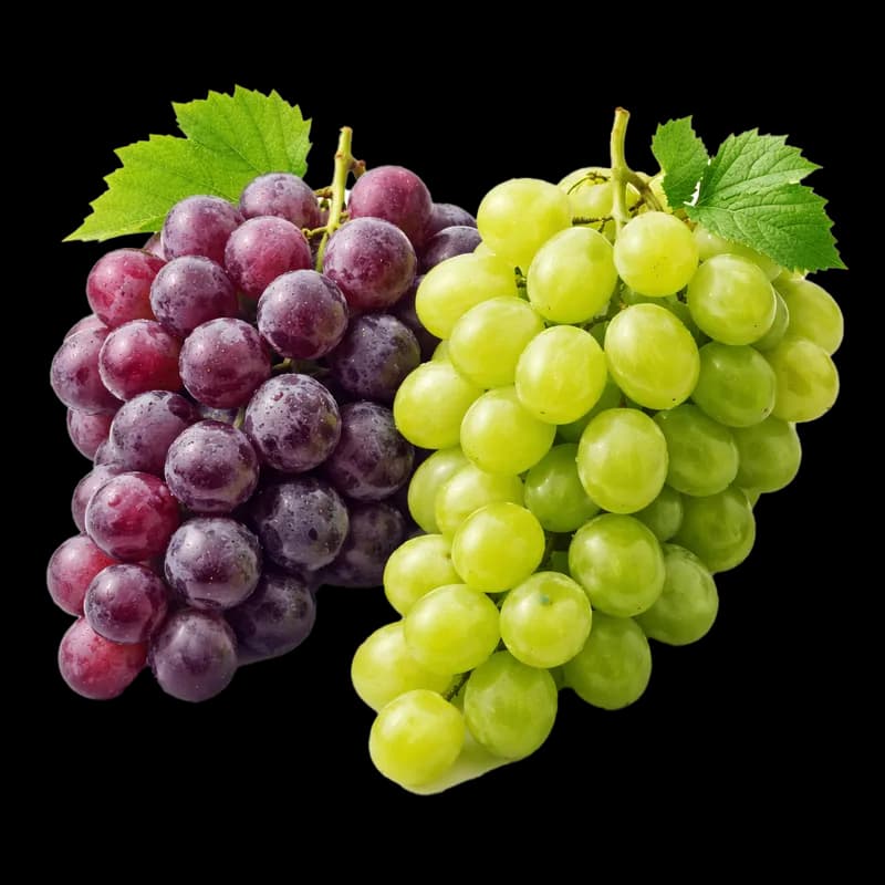Uvas Frescas: Cacho Vermelho e Verde com Folhas PNG fundo transparente - Grapes Fresh Cacho Red Green Leaves transparent
