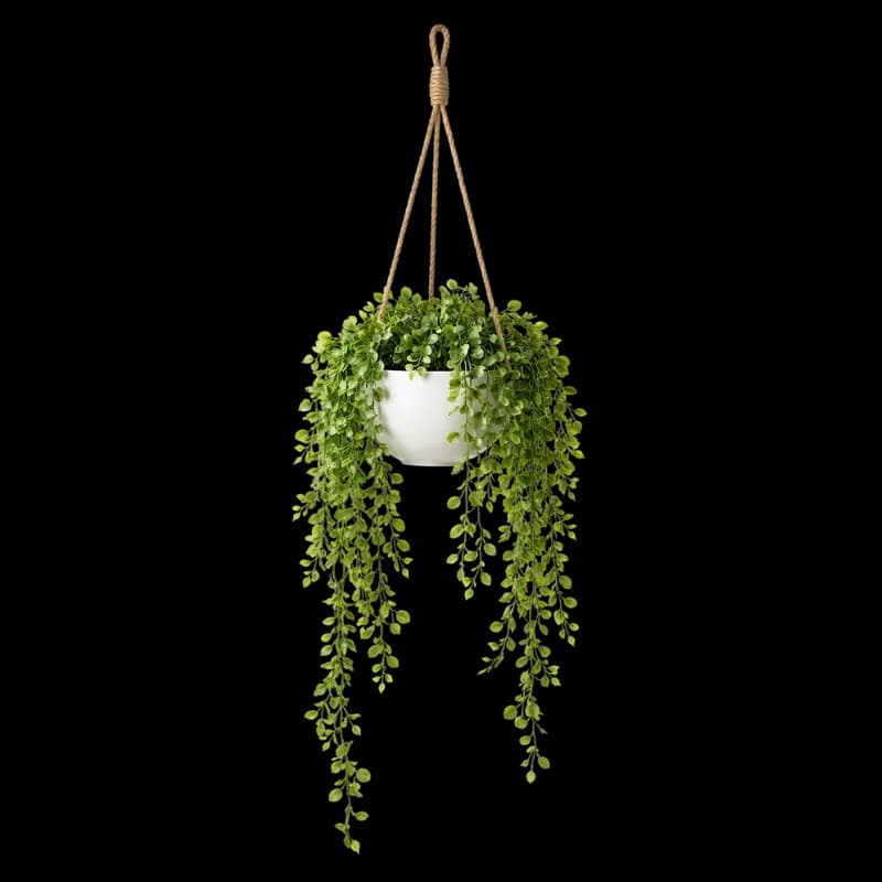 Vaso de Planta Pendente Decorativa com Folhagem Verde PNG fundo transparente - Vase Plant Pendant light Decorative Folia