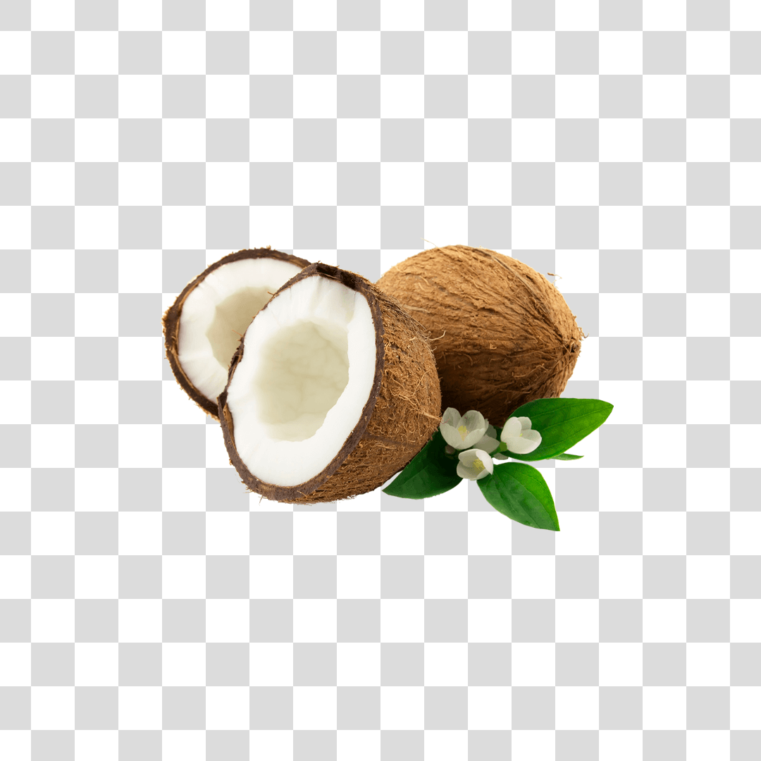 Coco Png Baixar Imagens Em Png