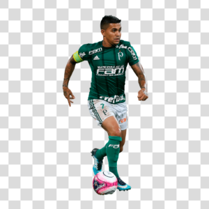 Dudu Palmeiras Png