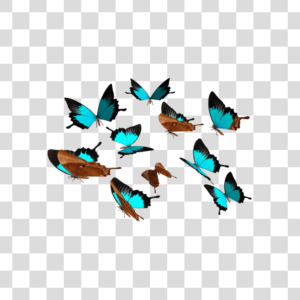 Borboletas Azuis Png