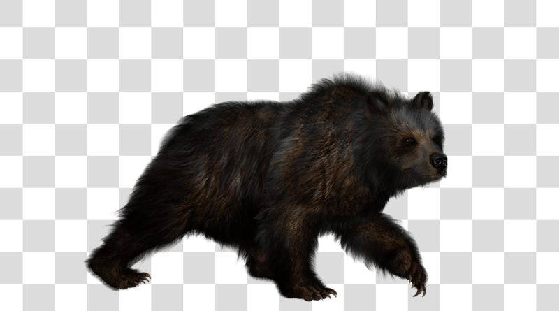 Desenho de urso de serra elétrica Carnivora Arborist, motosserra, mamífero,  carnívoro png