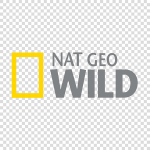 Logo Nat Geo Wild Png