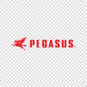 Logo Pegasus Png
