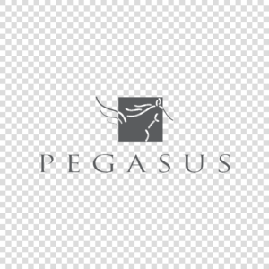 Logo Pegasus Png